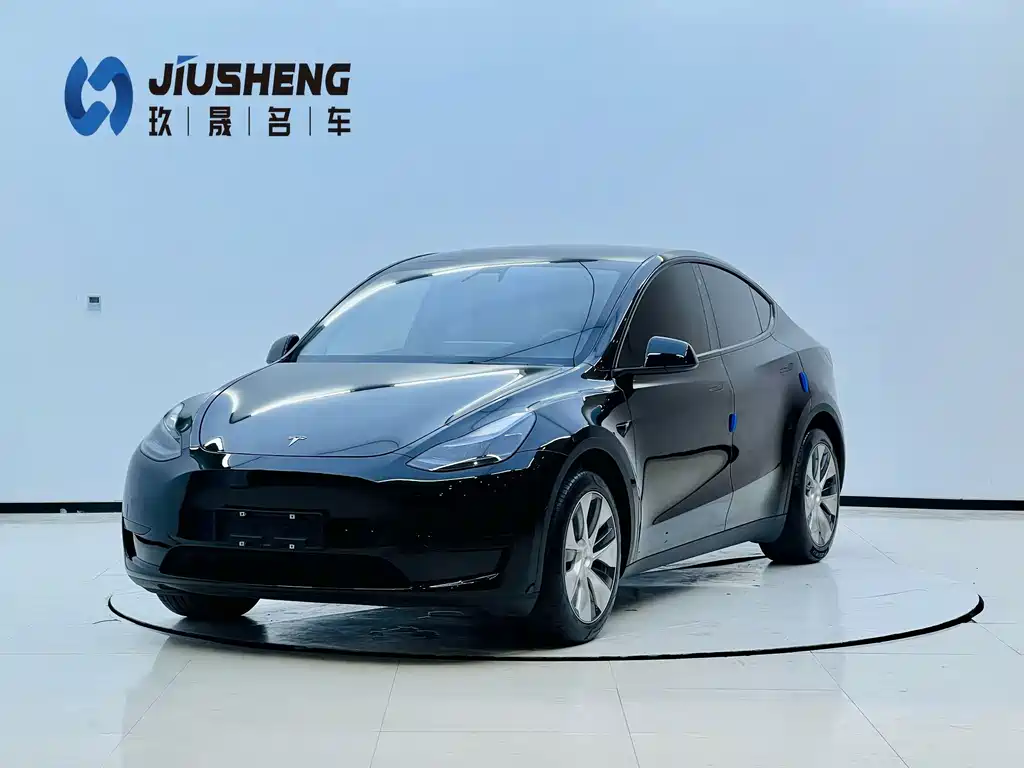 Tesla Model Y — миниатюра 2