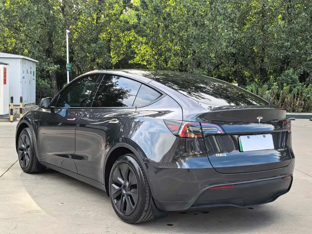 Tesla Model Y — миниатюра 15