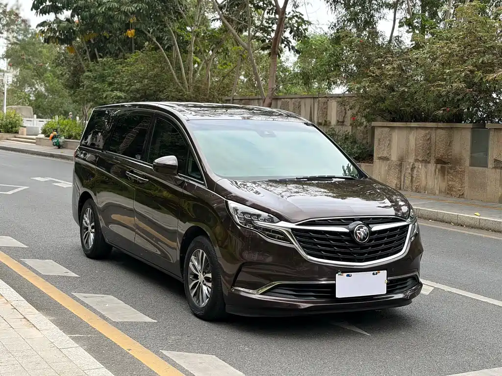 Buick GL8 — миниатюра 4