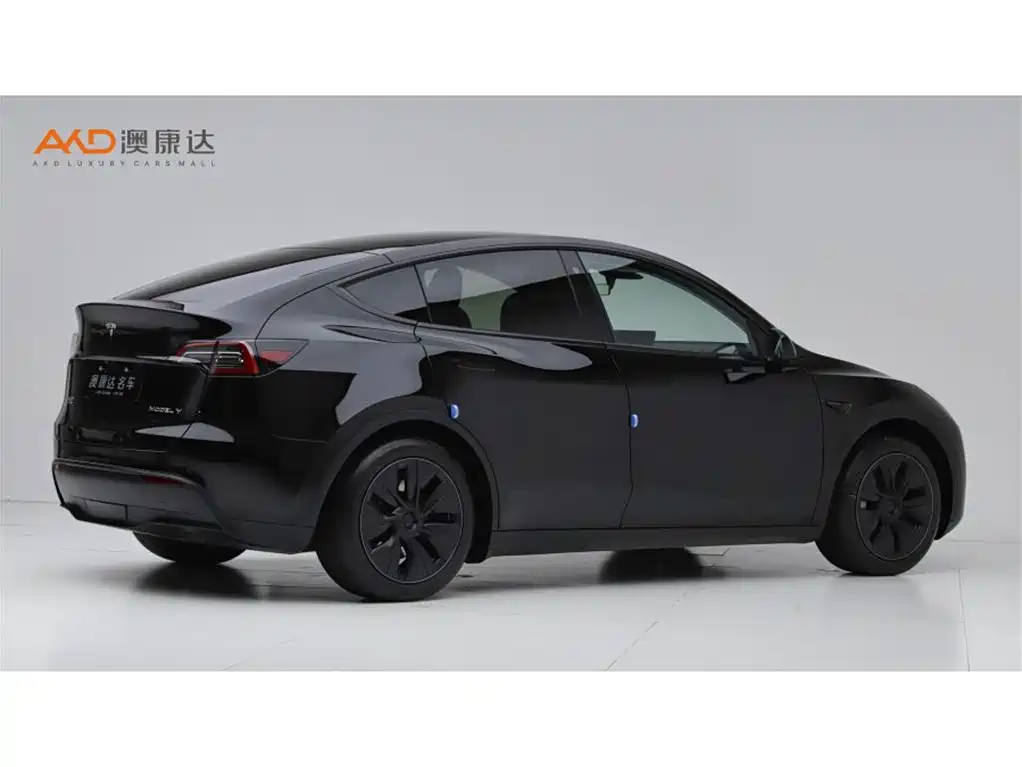 Tesla Model Y — миниатюра 3