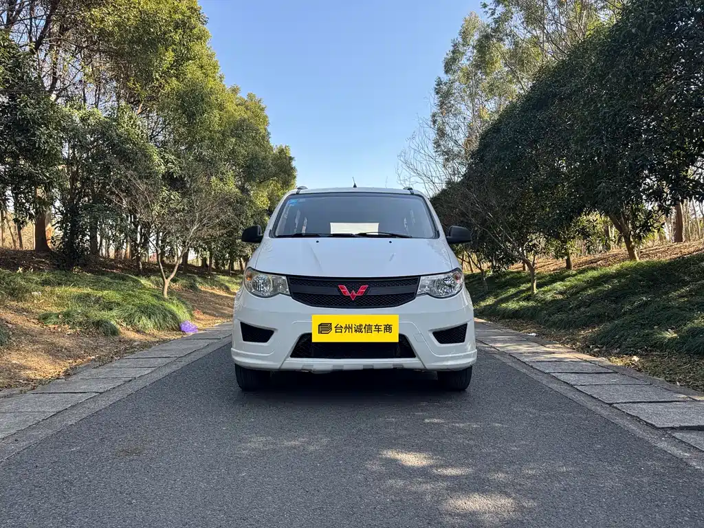 WULING WULING HONGGUANG