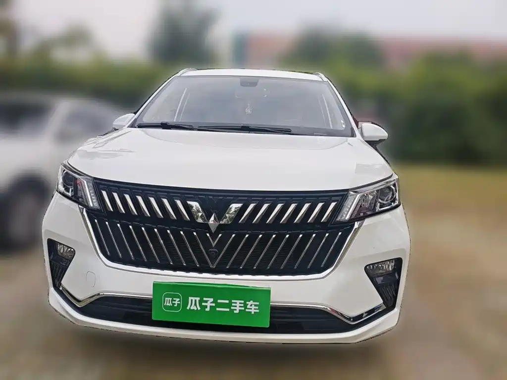 Wuling Jiachen — миниатюра 2