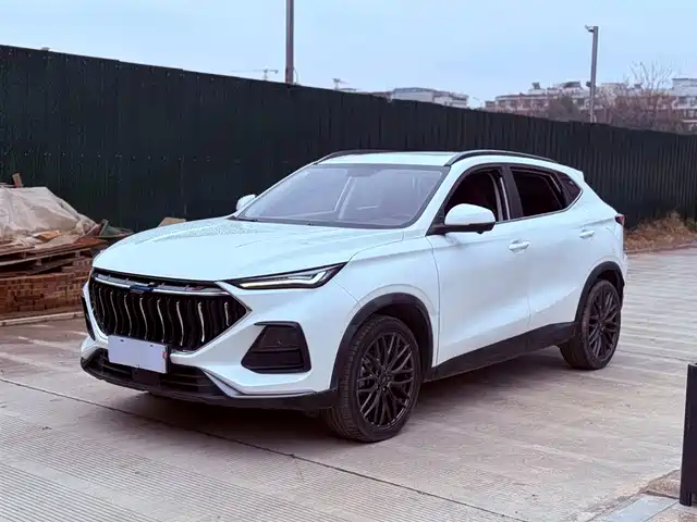 CHANGAN CHANGAN AUCHAN X5