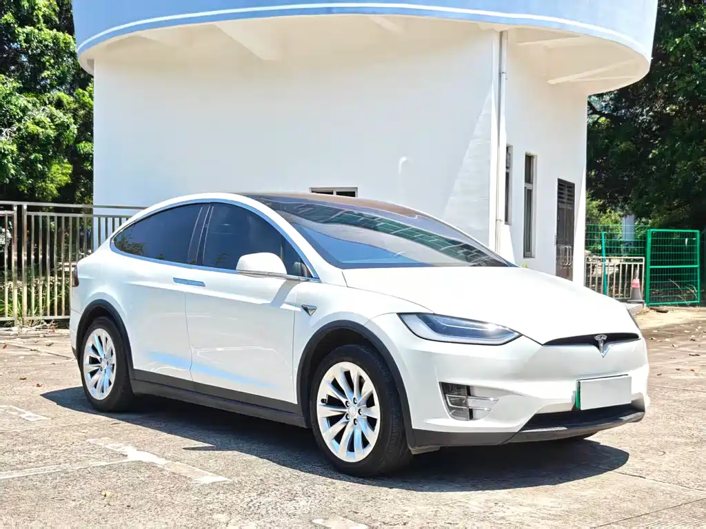 Tesla Model X — миниатюра 3