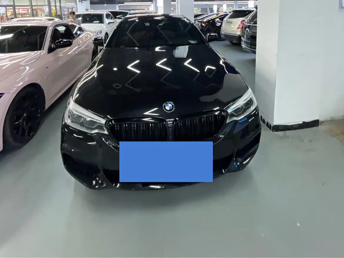 宝马5系 2020款 530Li 领先型 M运动套装 2020