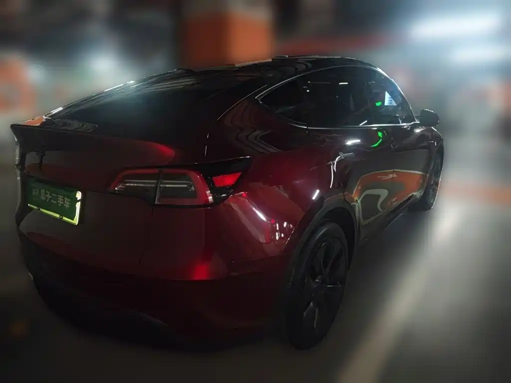 Tesla Model Y — миниатюра 6