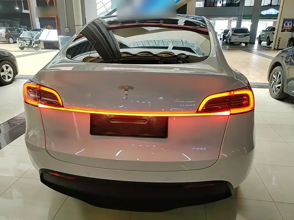 Tesla Model Y — миниатюра 6