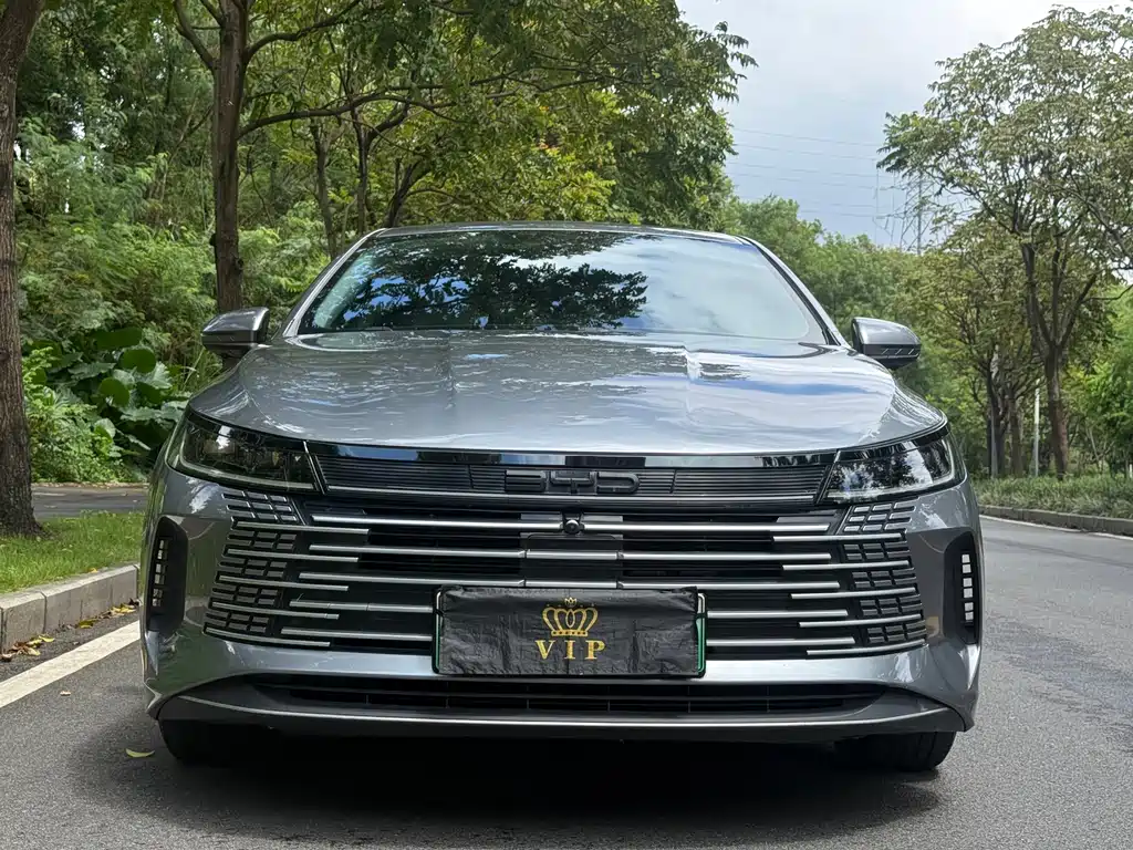 BYD Destroyer 05 — миниатюра 2