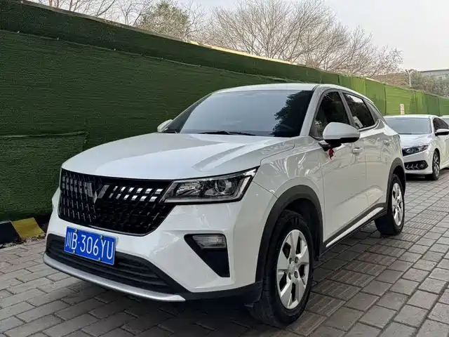 WULING WULING XINGCHI