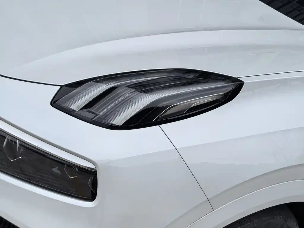 Lynk & Co 09 2024 2.0T Sport мест