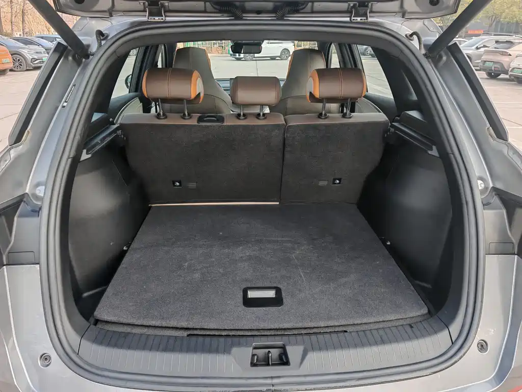 BYD SONGJIANG NEW ENERGY