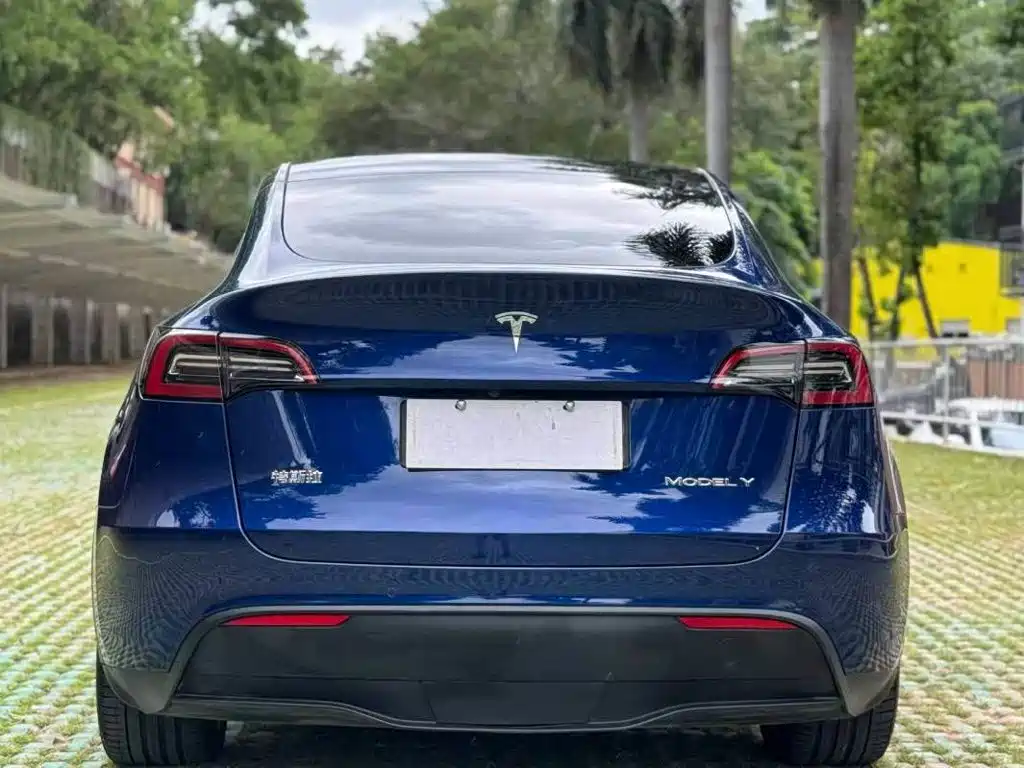 Tesla Model Y — миниатюра 9
