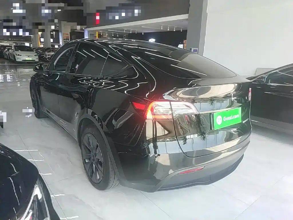 Tesla Model Y — миниатюра 5