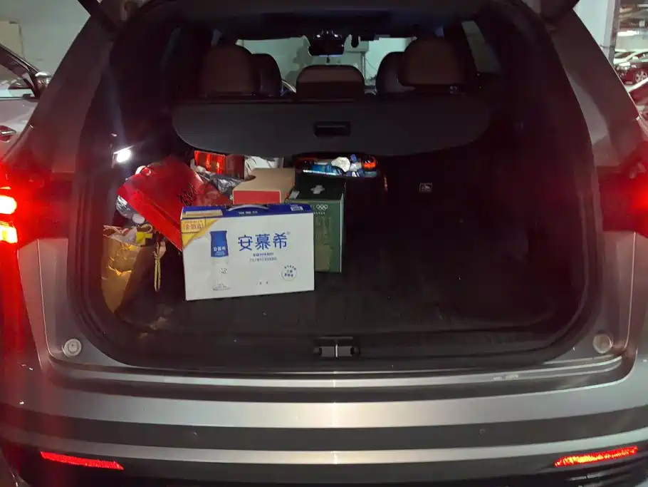 Geely Xingyue L — миниатюра 4