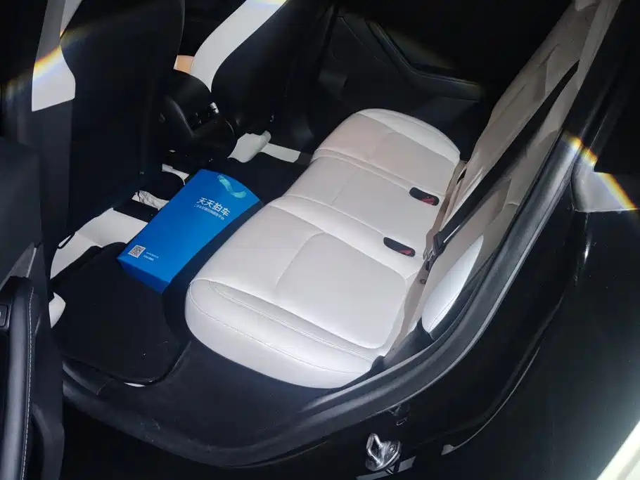 Tesla Model Y — миниатюра 11