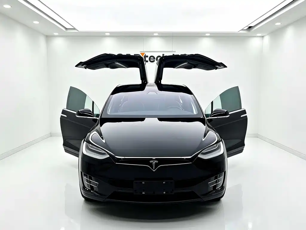 Tesla Model X — миниатюра 6