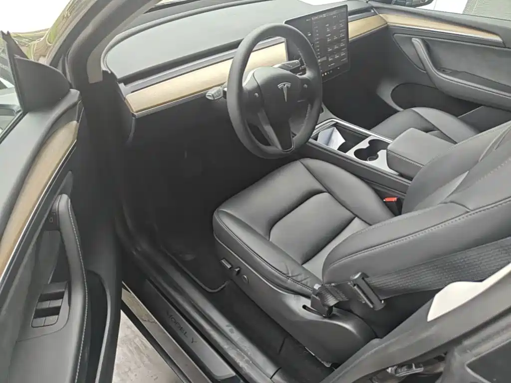 Tesla Model Y — миниатюра 16
