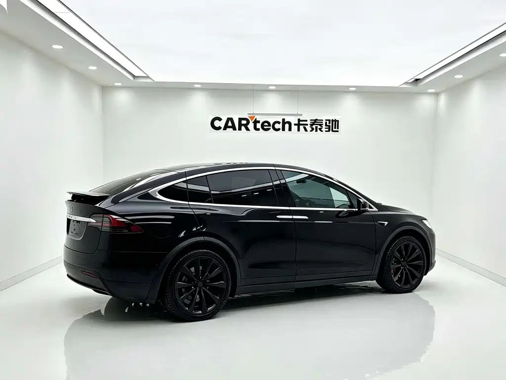Tesla Model X — миниатюра 9