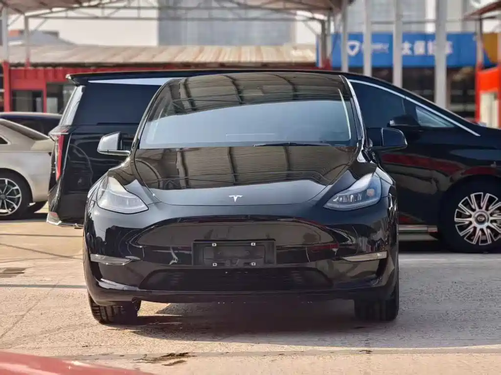 Tesla Model Y - фото 2
