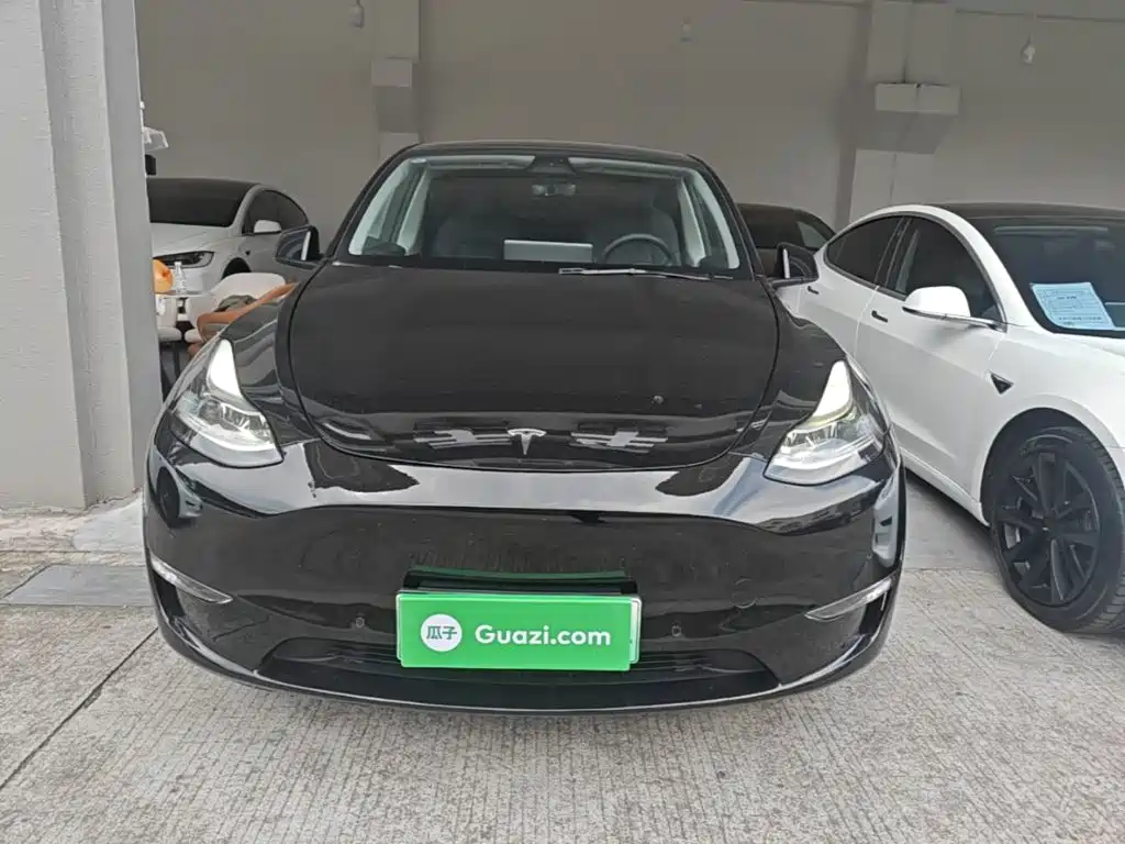 Tesla Model Y — миниатюра 3