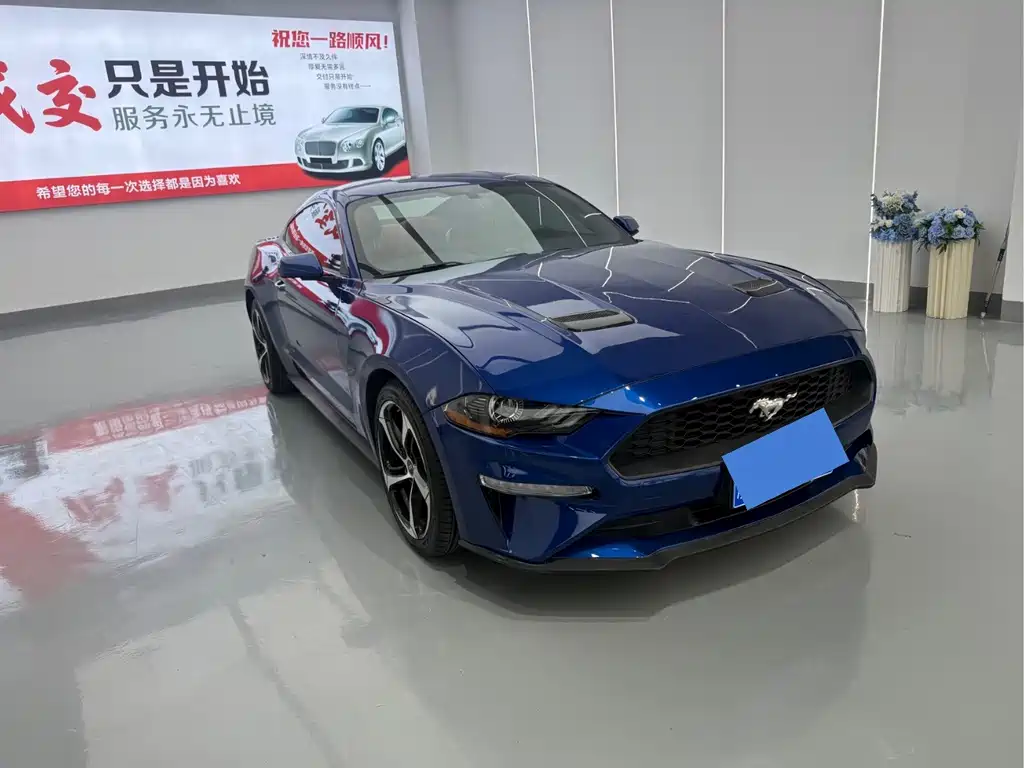 Ford Mustang — миниатюра 3