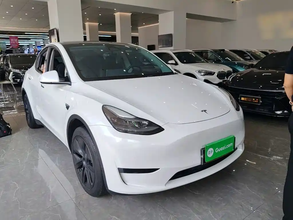 Tesla Model Y — миниатюра 4