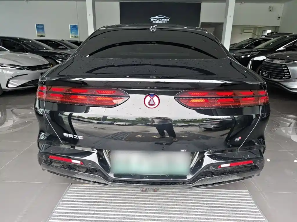 Denza Denza Z9 — миниатюра 6