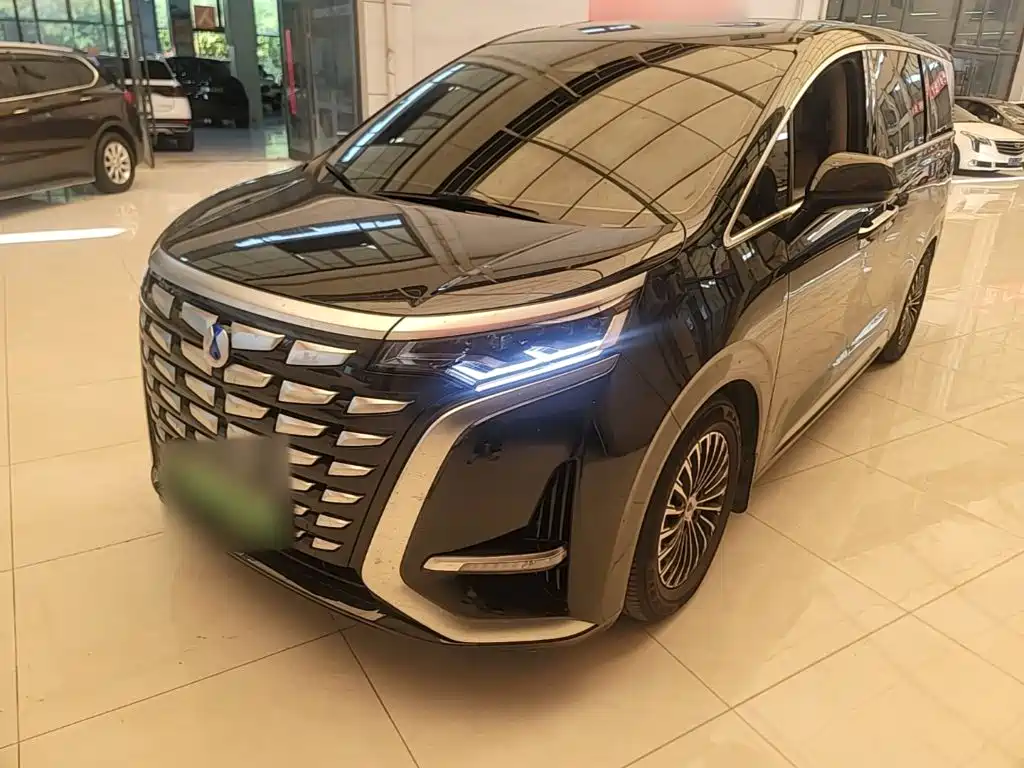 Denza Denza D9 — миниатюра 2