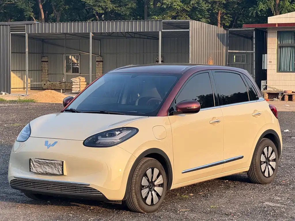 2025 Wuling Motors Binguo - zdjęcie 1 z 15