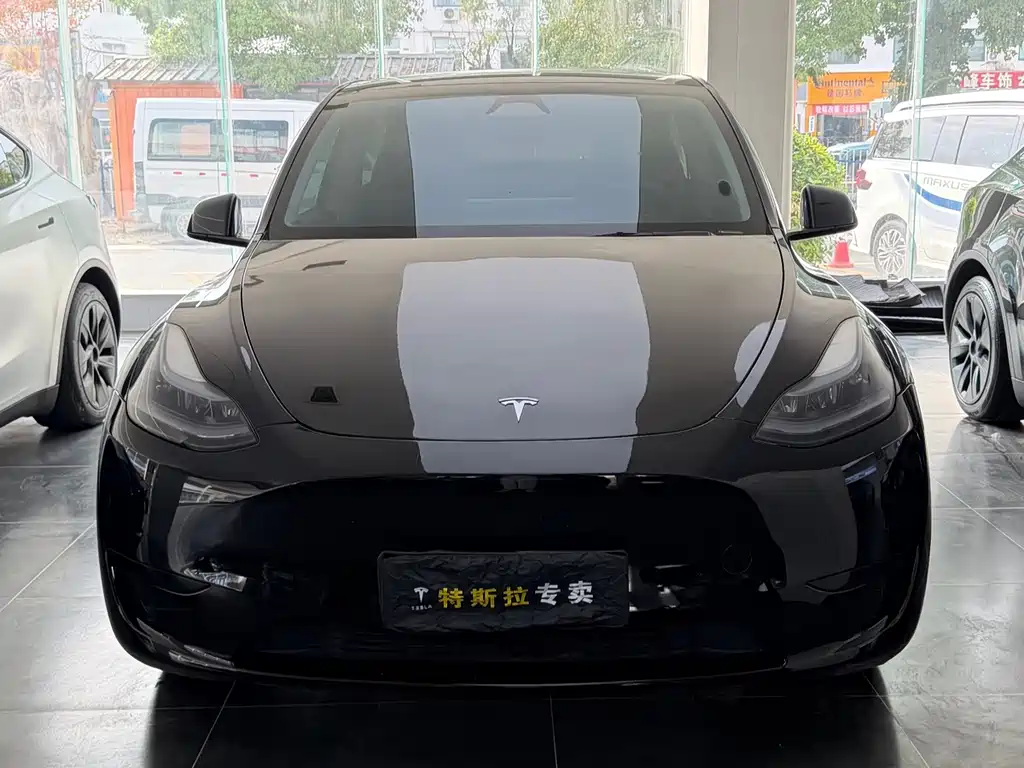 Tesla Model Y — миниатюра 2