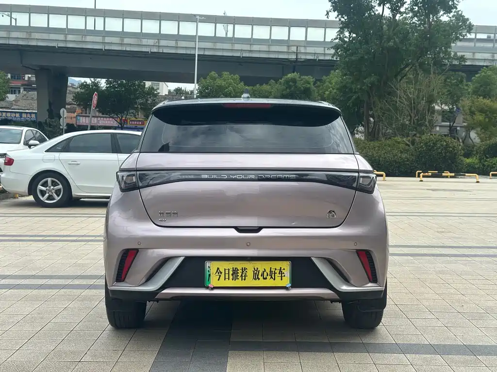 BYD Dolphin — миниатюра 6