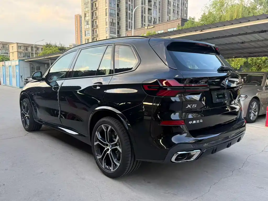 BMW X5 — миниатюра 7