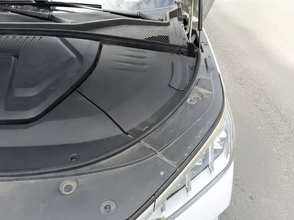 BYD PLUS New Energy — миниатюра 23