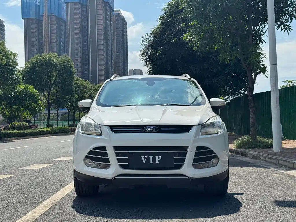 Ford Kuga 2.0L GTDi 4WD Elite Type, фото 2