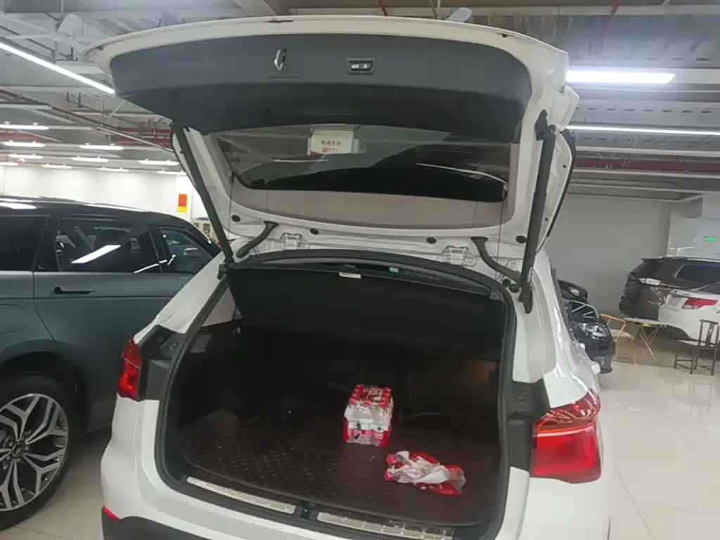 BMW X1 — миниатюра 19