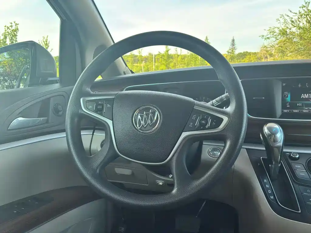 Buick GL8 — миниатюра 5