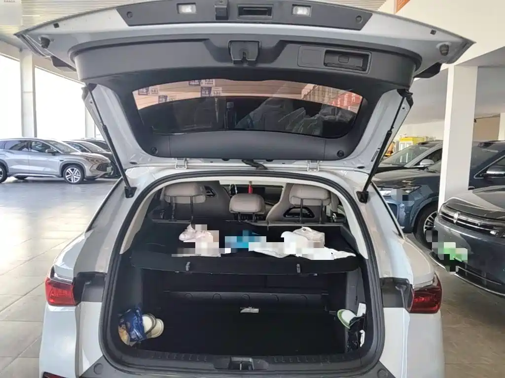 BYD Yuan Plus — миниатюра 19