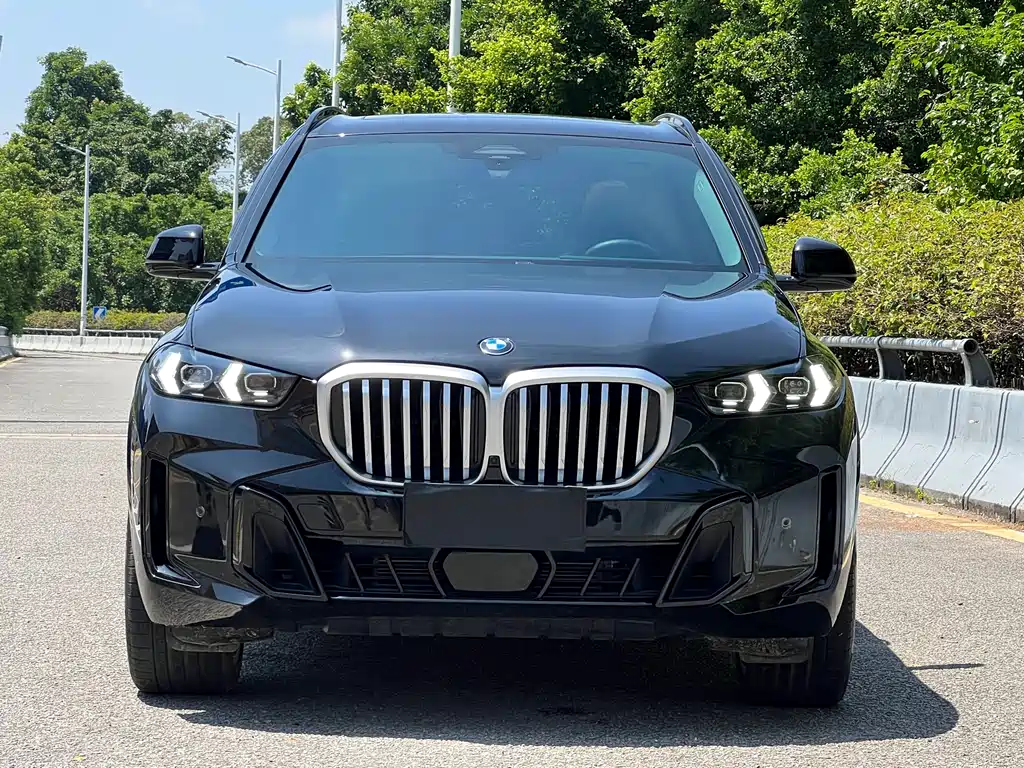 BMW X5 — миниатюра 2