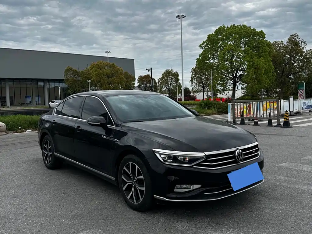 Volkswagen Magotan 2020 330TSI DSG Luxury