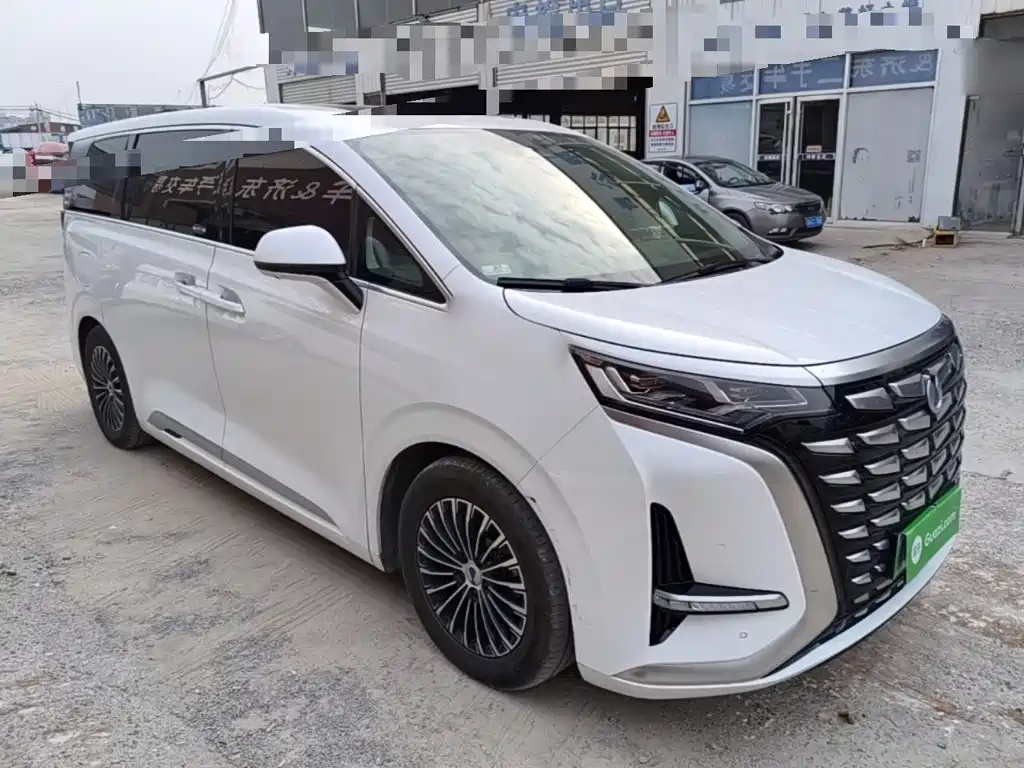 Denza Denza D9 — миниатюра 4