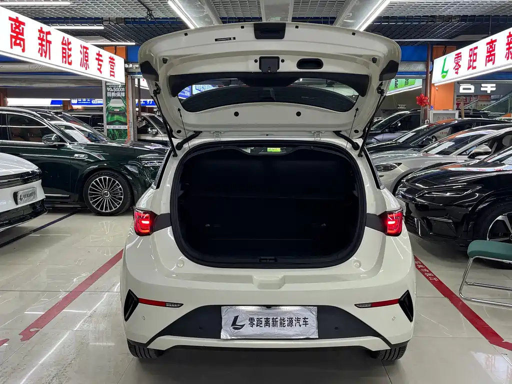 BYD Dolphin — миниатюра 16