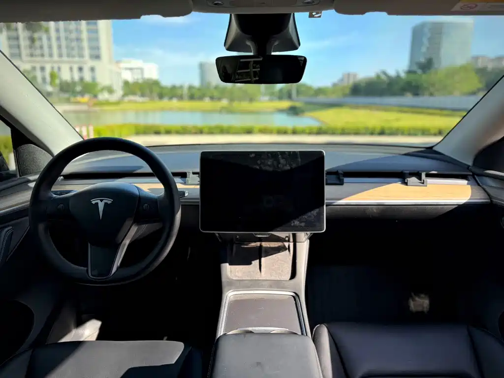 Tesla Model Y — миниатюра 11