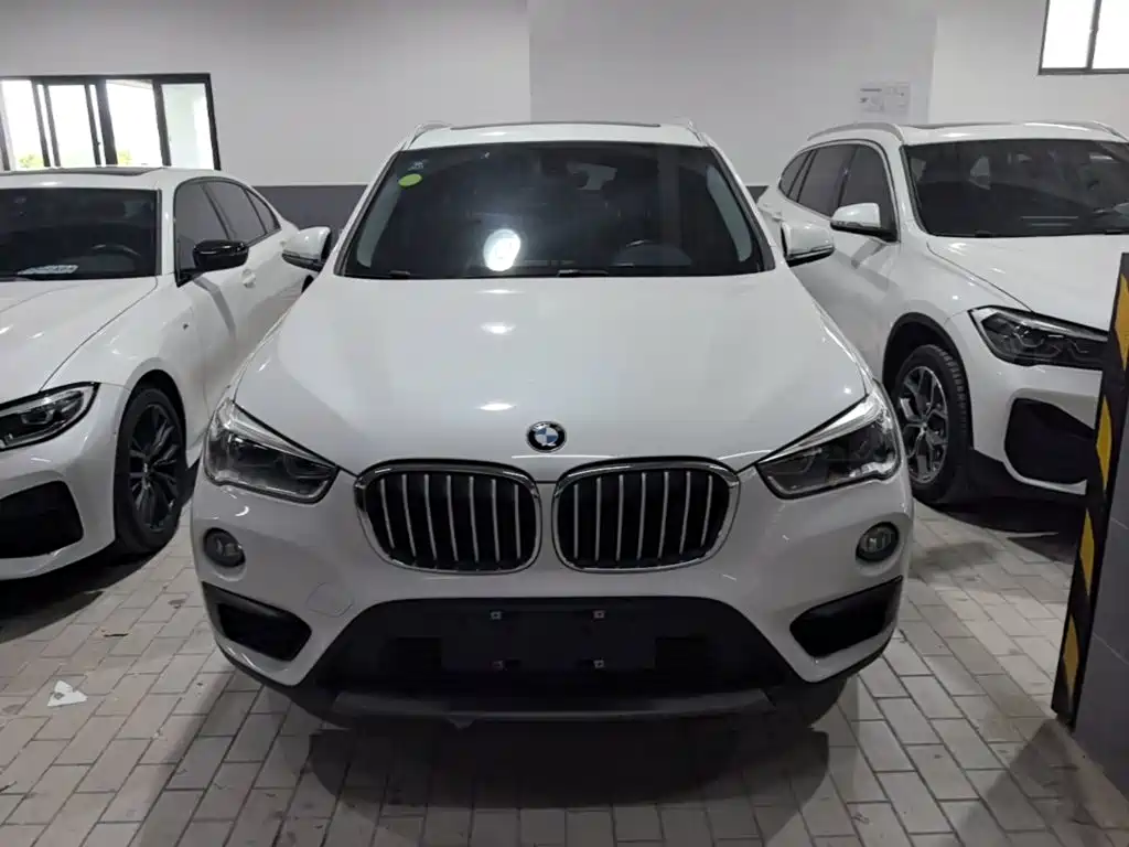 BMW X1 2019 sDrive20Li Lead