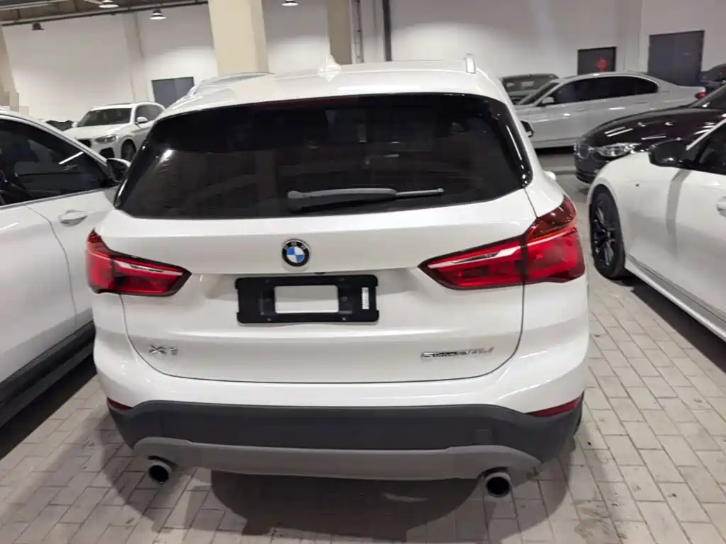 BMW X1 2019 sDrive20Li Lead