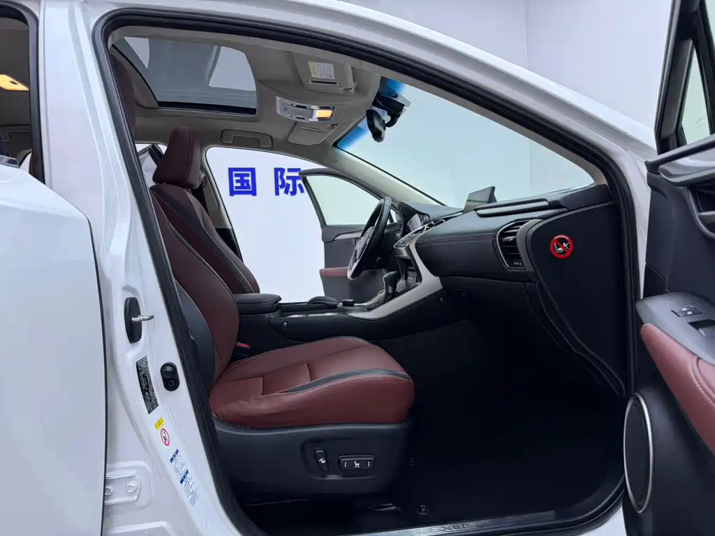 Lexus NX — миниатюра 15