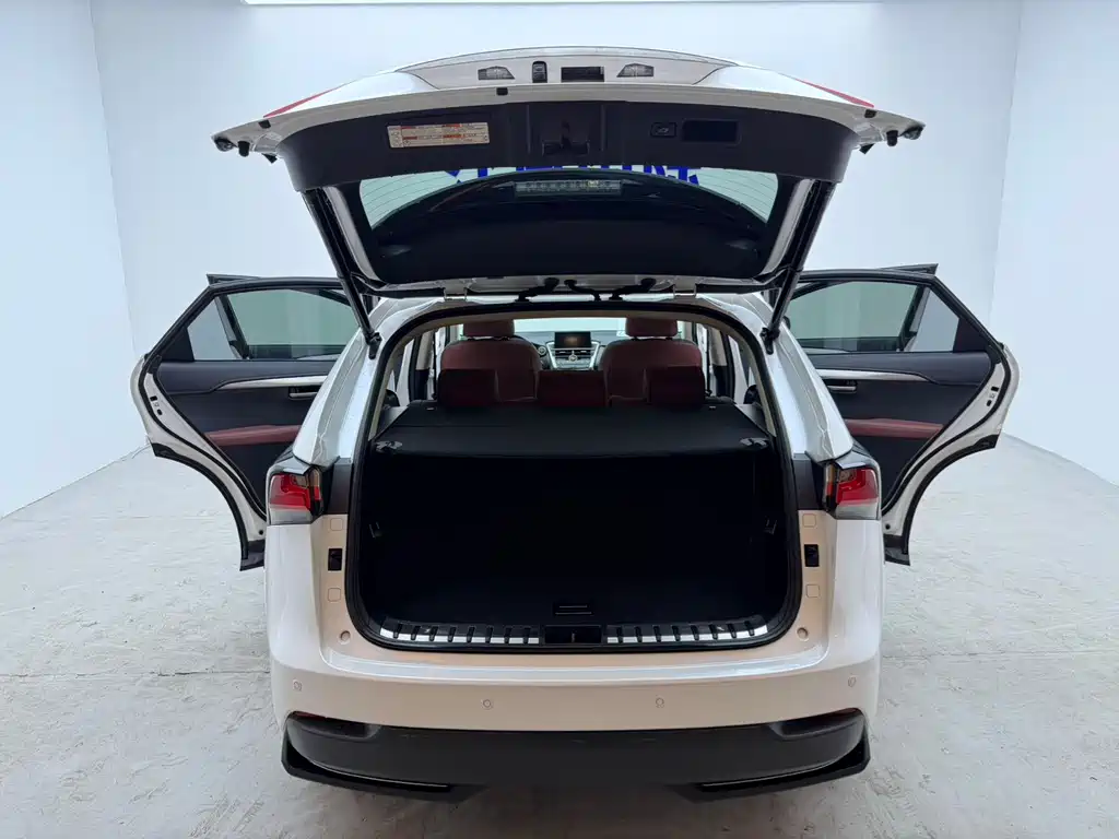 Lexus NX — миниатюра 21