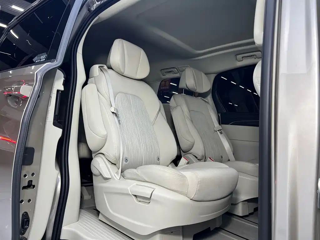 Buick GL8 — миниатюра 20