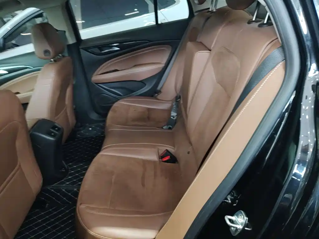 Buick Regal — миниатюра 17