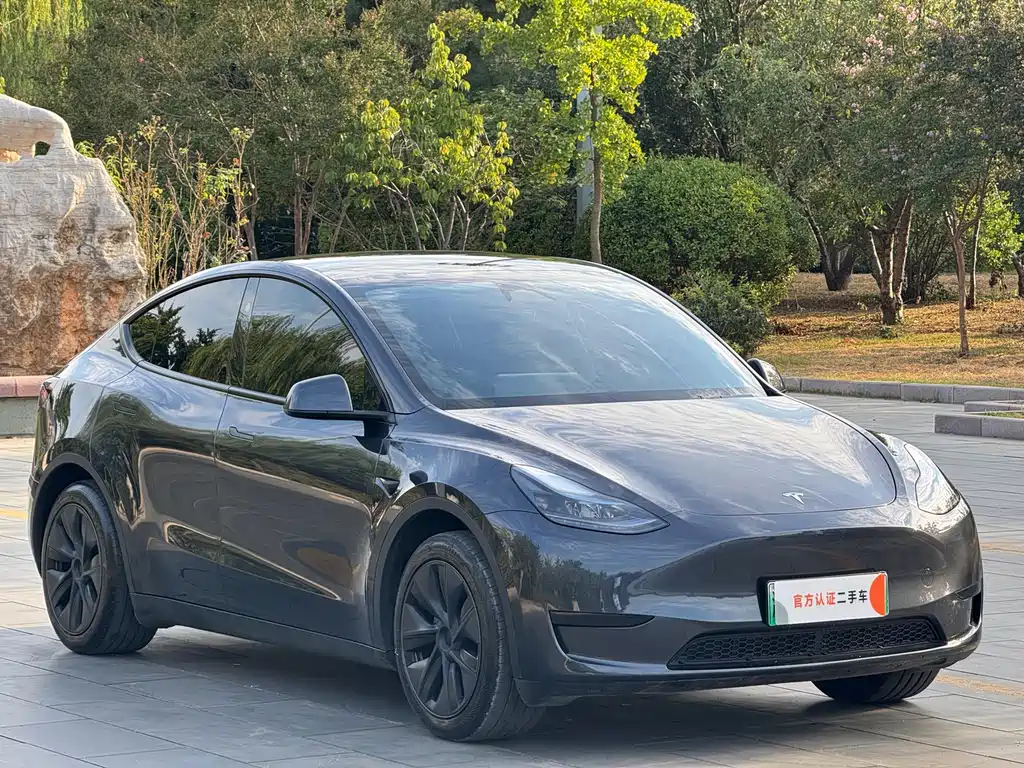 Tesla Model Y — миниатюра 3