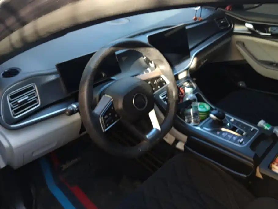 BYD Qin PLUS — миниатюра 15